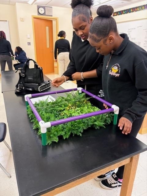 Students with plants