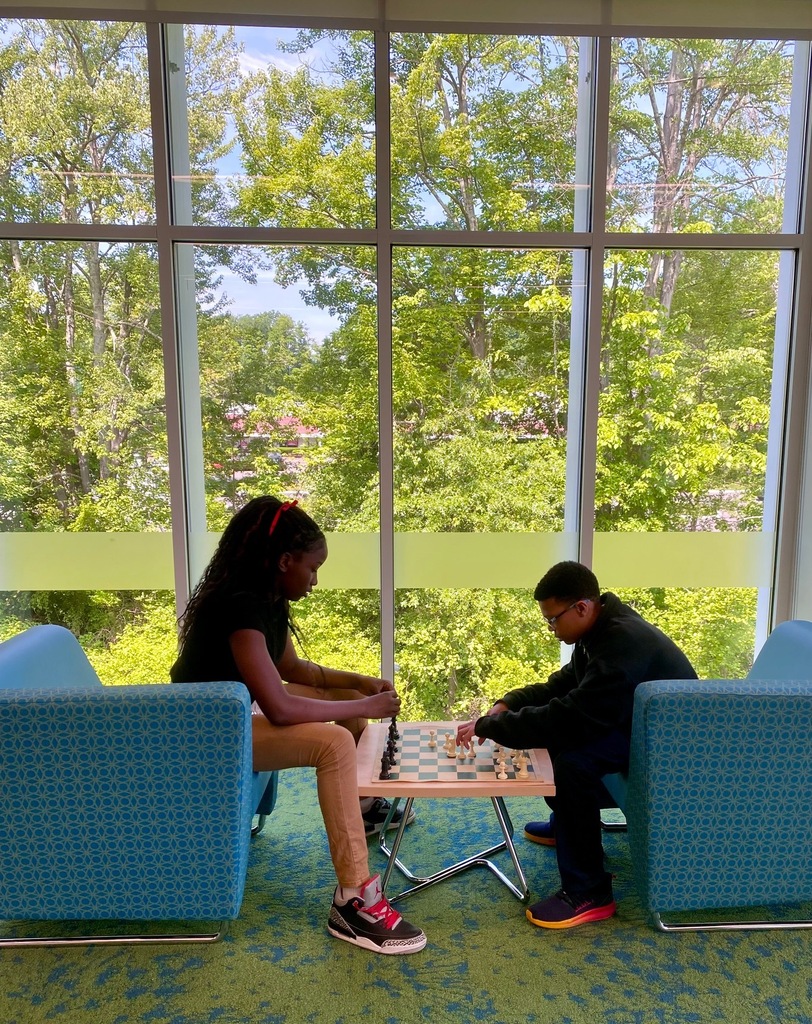 Playing chess