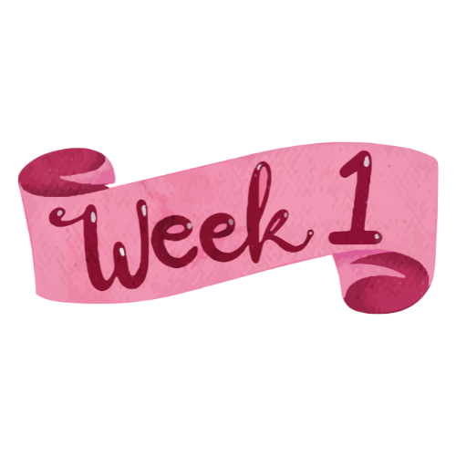 week 1