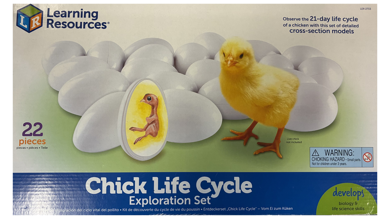 Chick Life Cycle Set