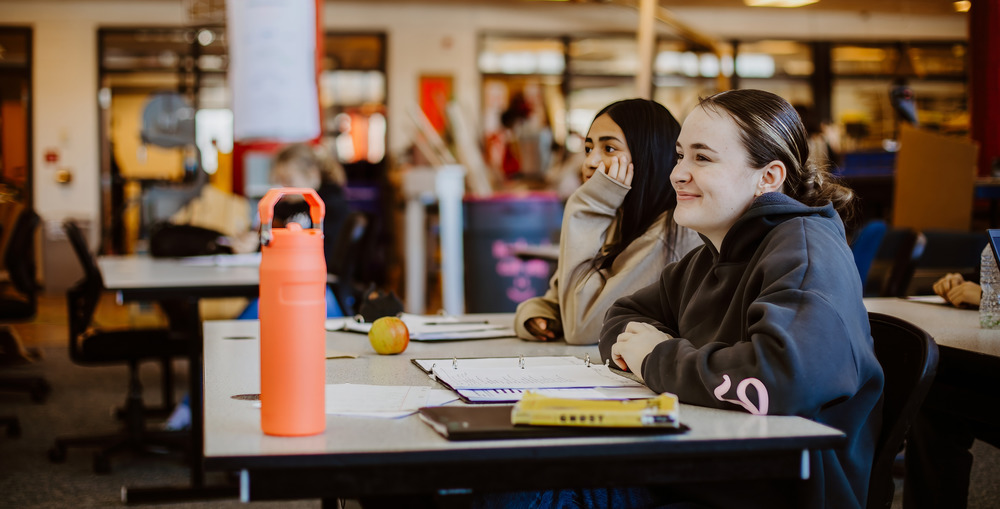 bloomingdale public schools michigan