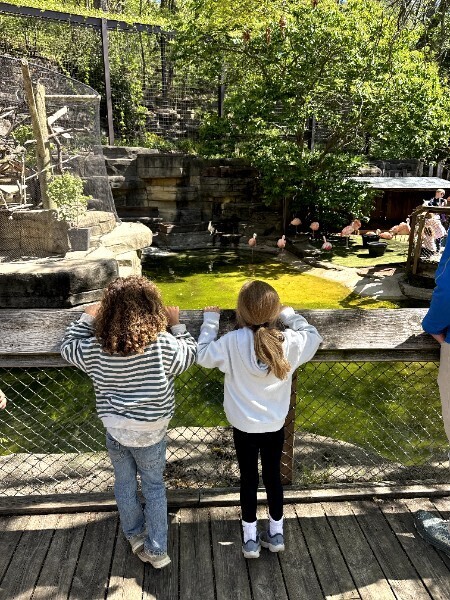 zoo