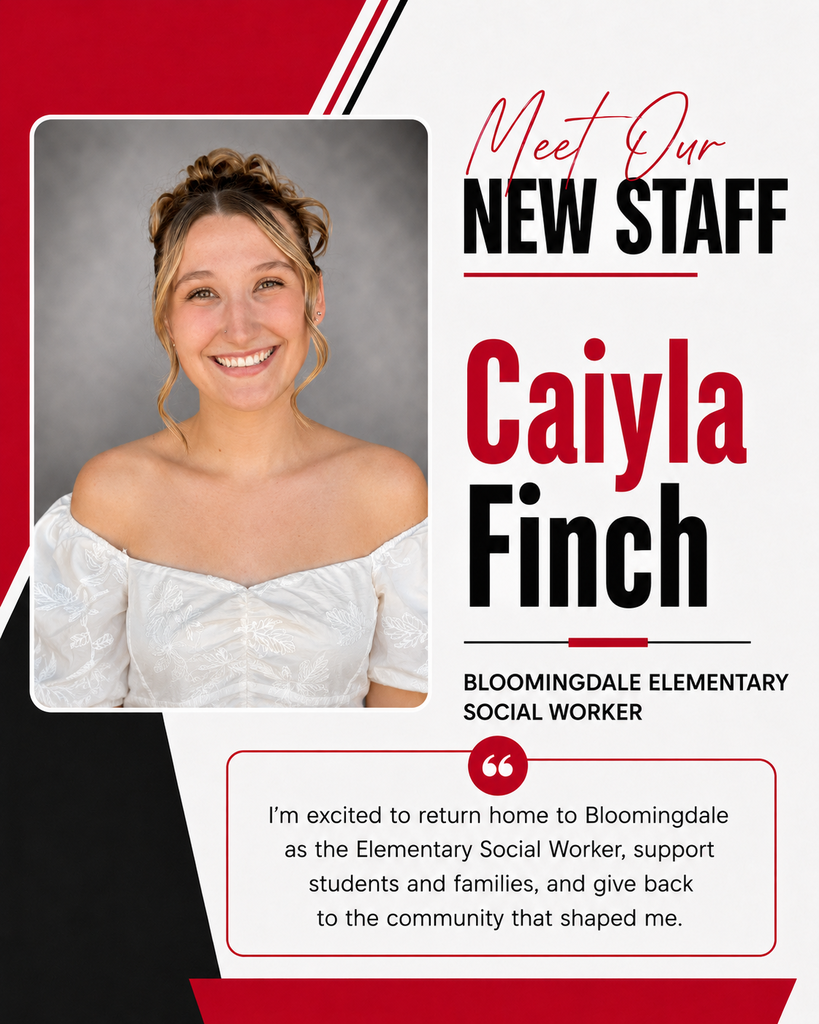 elementary social worker