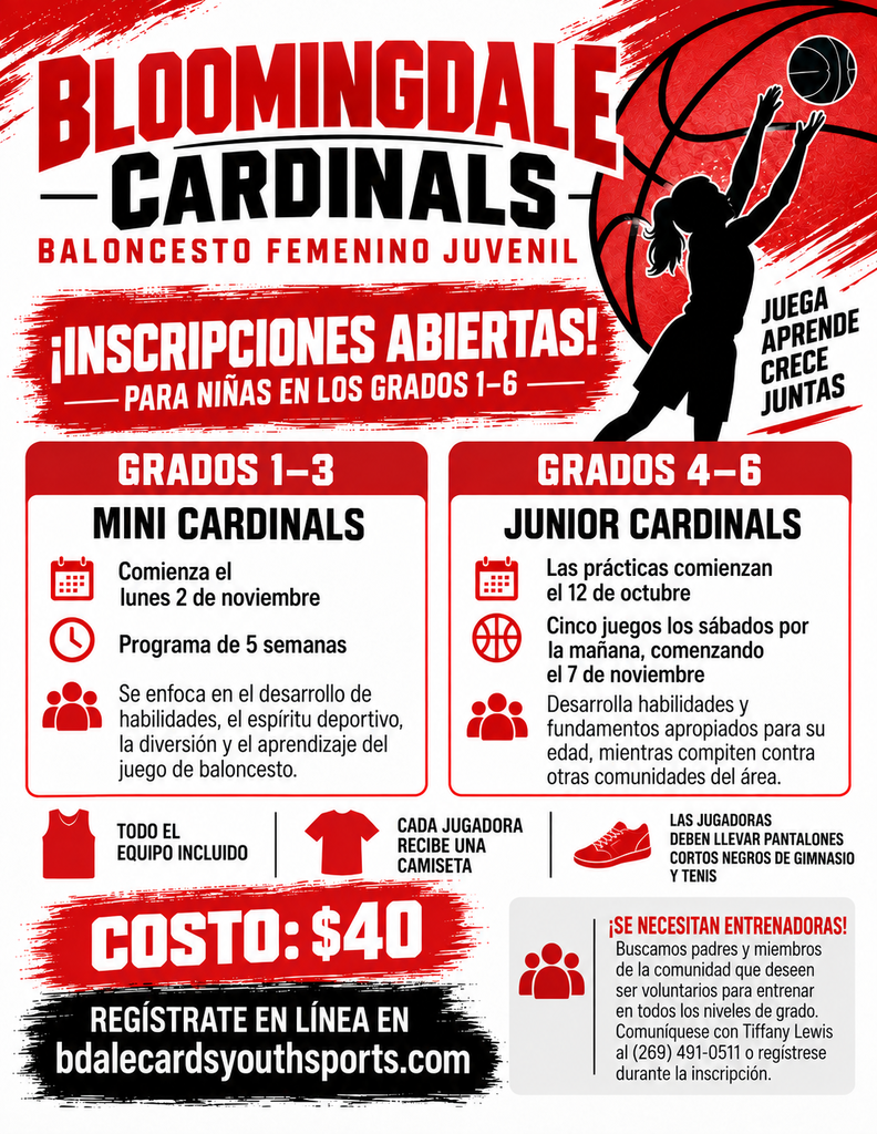 basketball flyer