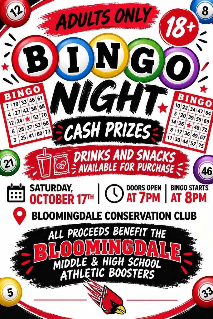adult bingo