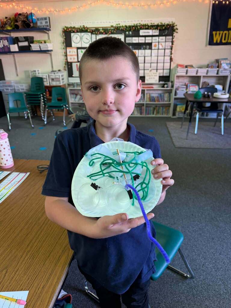 bird feeders in school project
