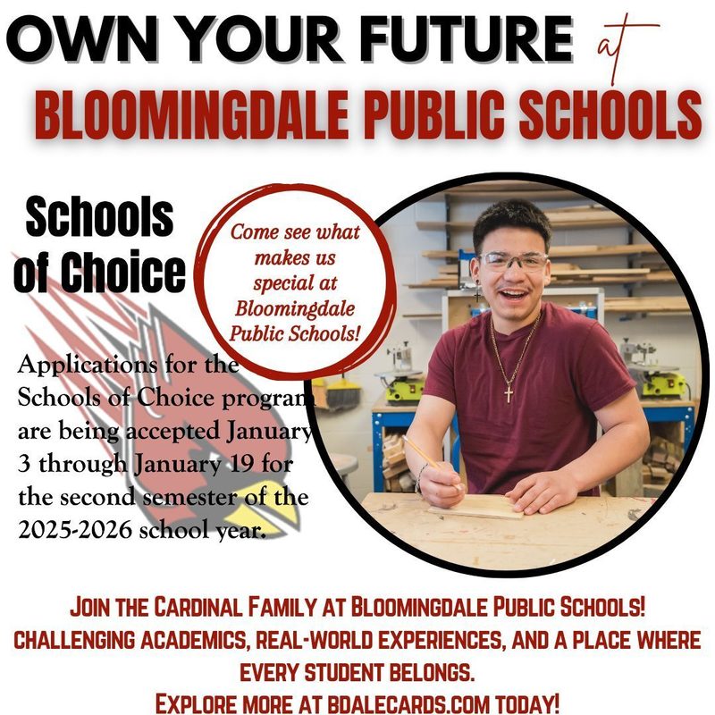 bloomingdale school of choice