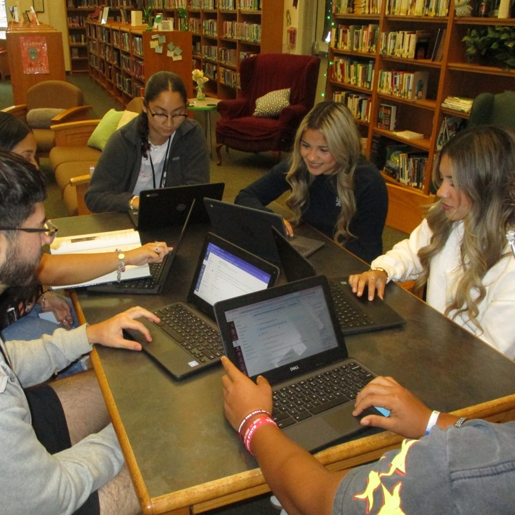 students work on laptops