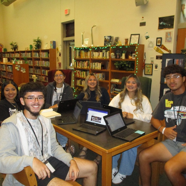 students work in library 