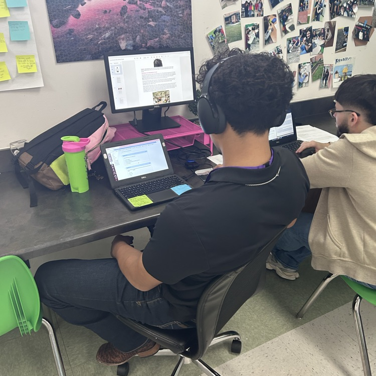 students work on their computers and look at lectures