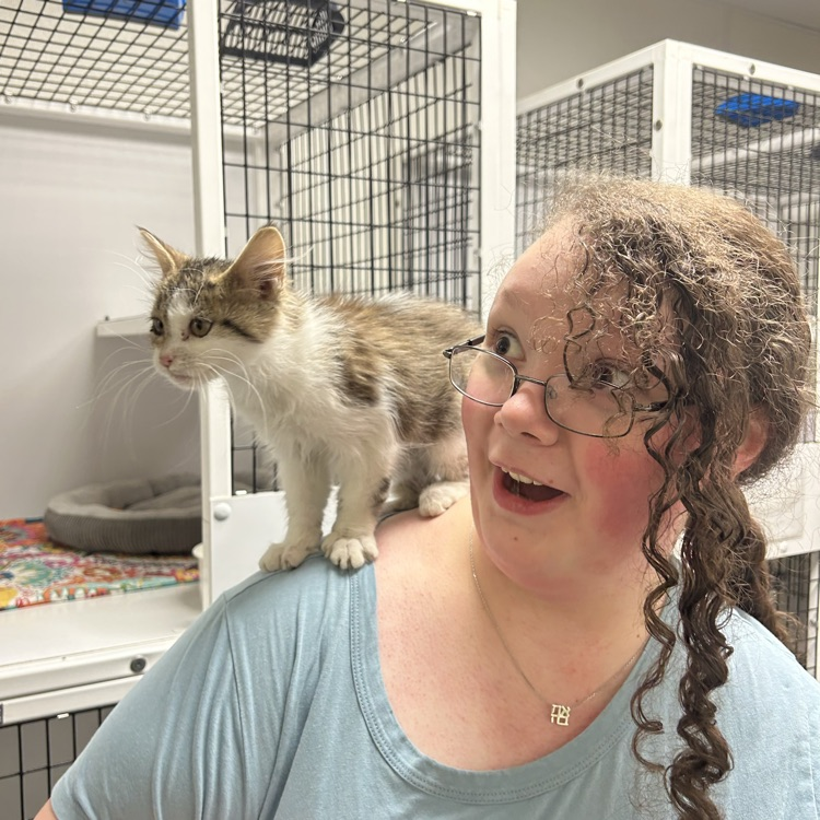 cat on students shoulders