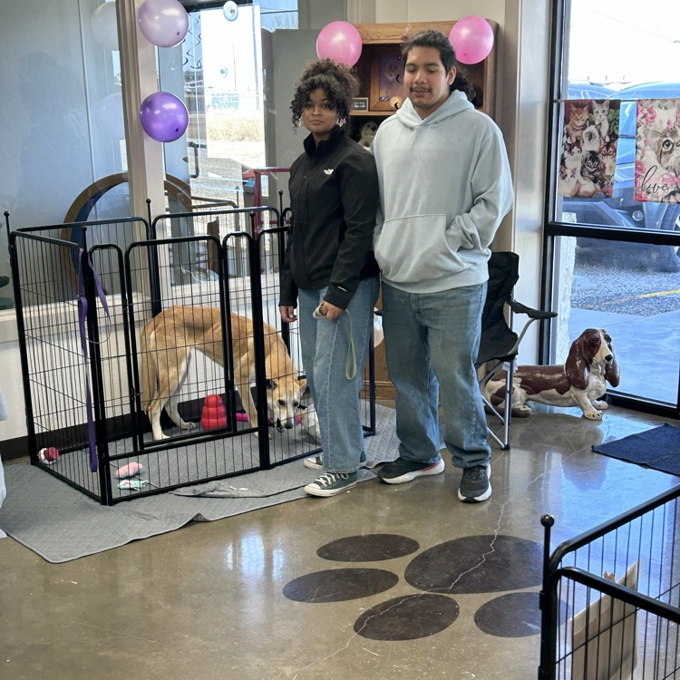 students pose with dogs