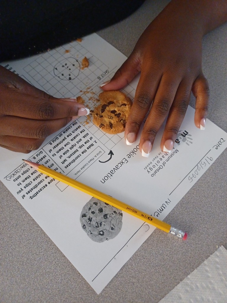 Cookie excavation