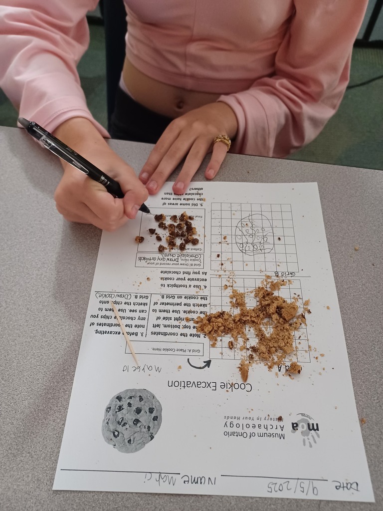 Cookie excavation