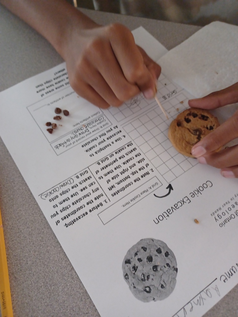 Cookie excavation