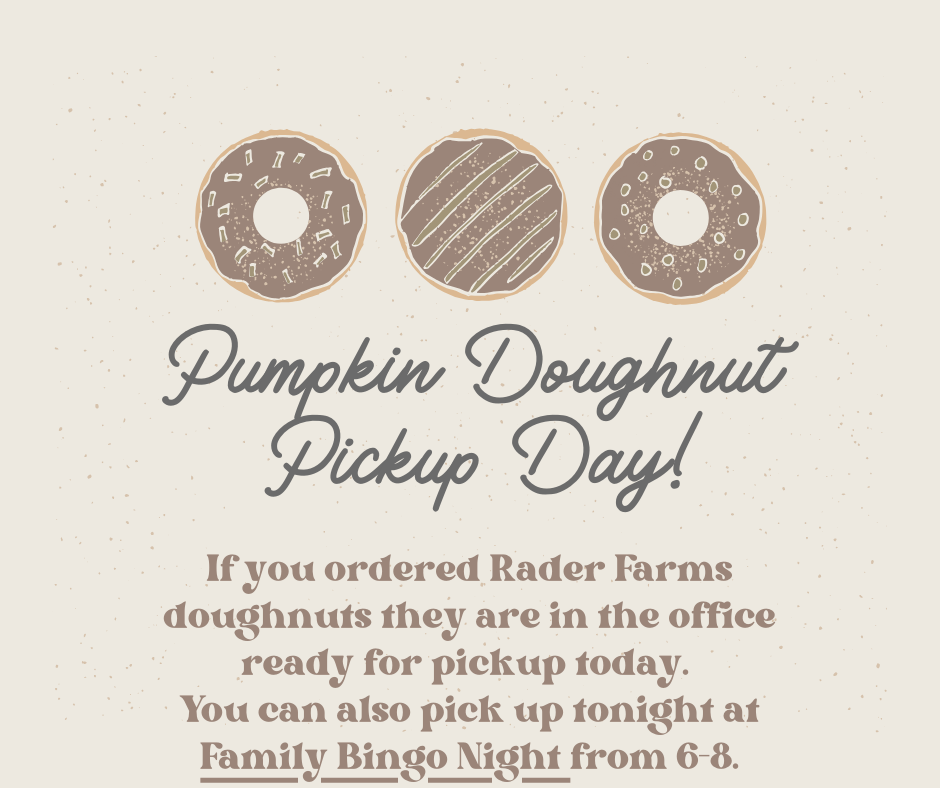 Doughnut