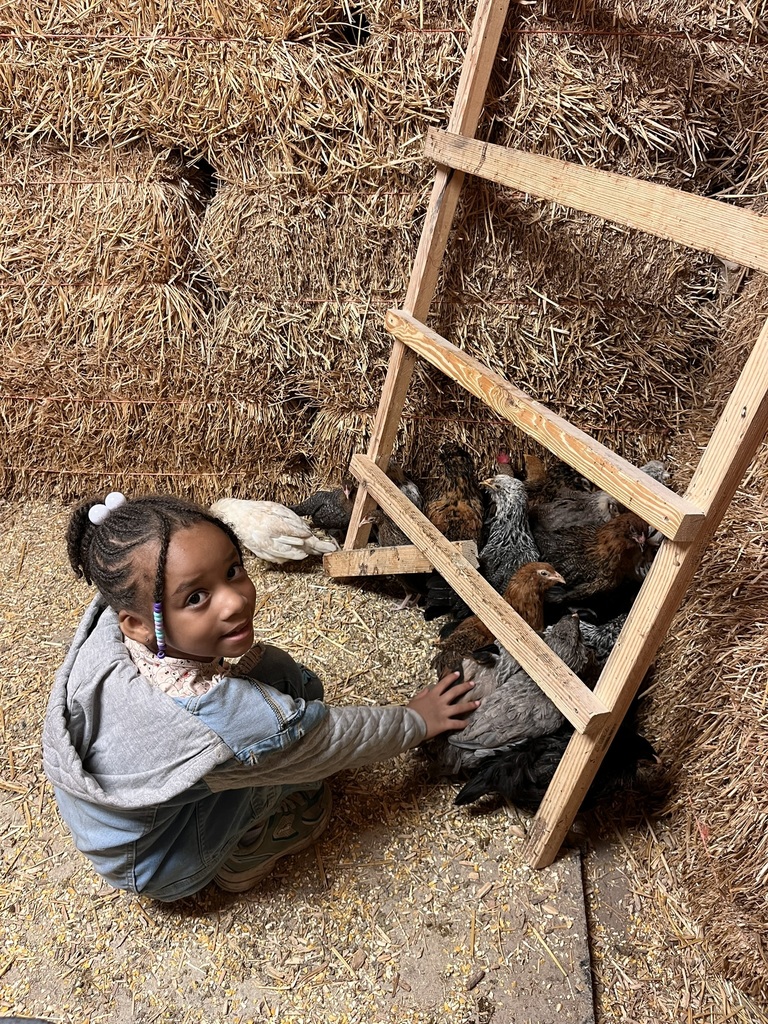 Farmer Sam's Farm