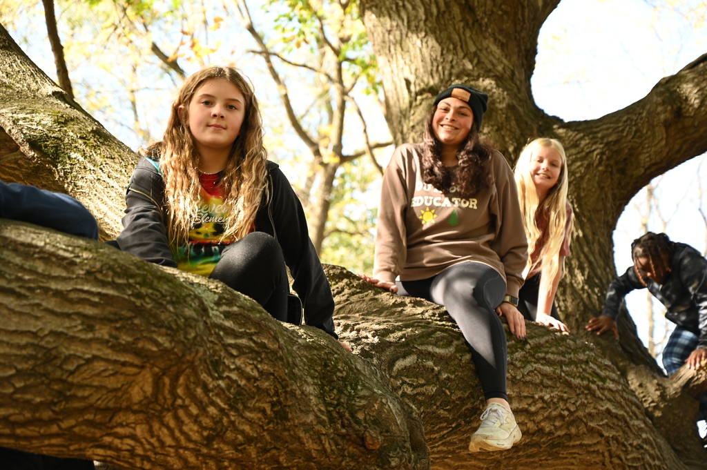 stevenson's fall fieldtrips