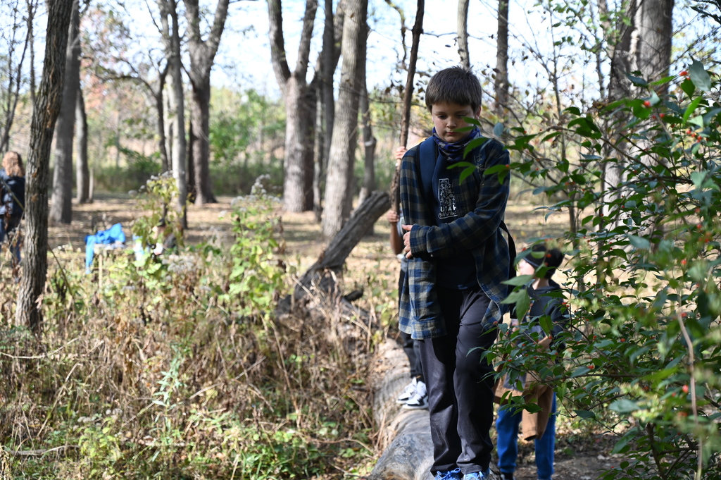 stevenson's fall fieldtrips