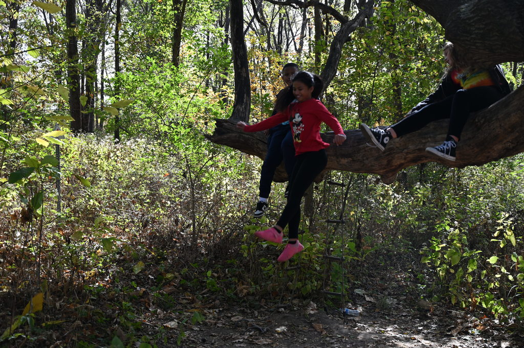 stevenson's fall fieldtrips