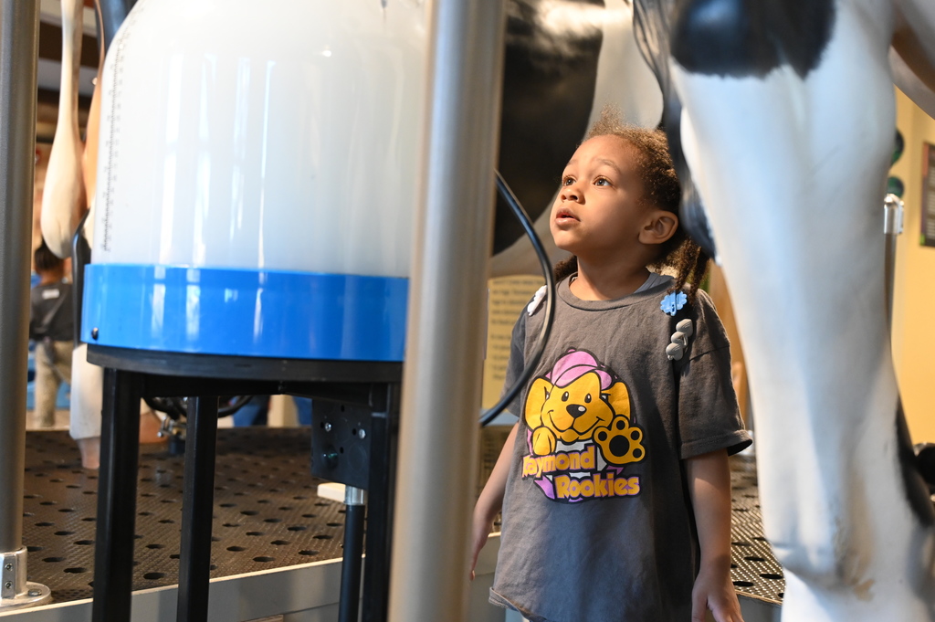 Discovery Museum Fieldtrip