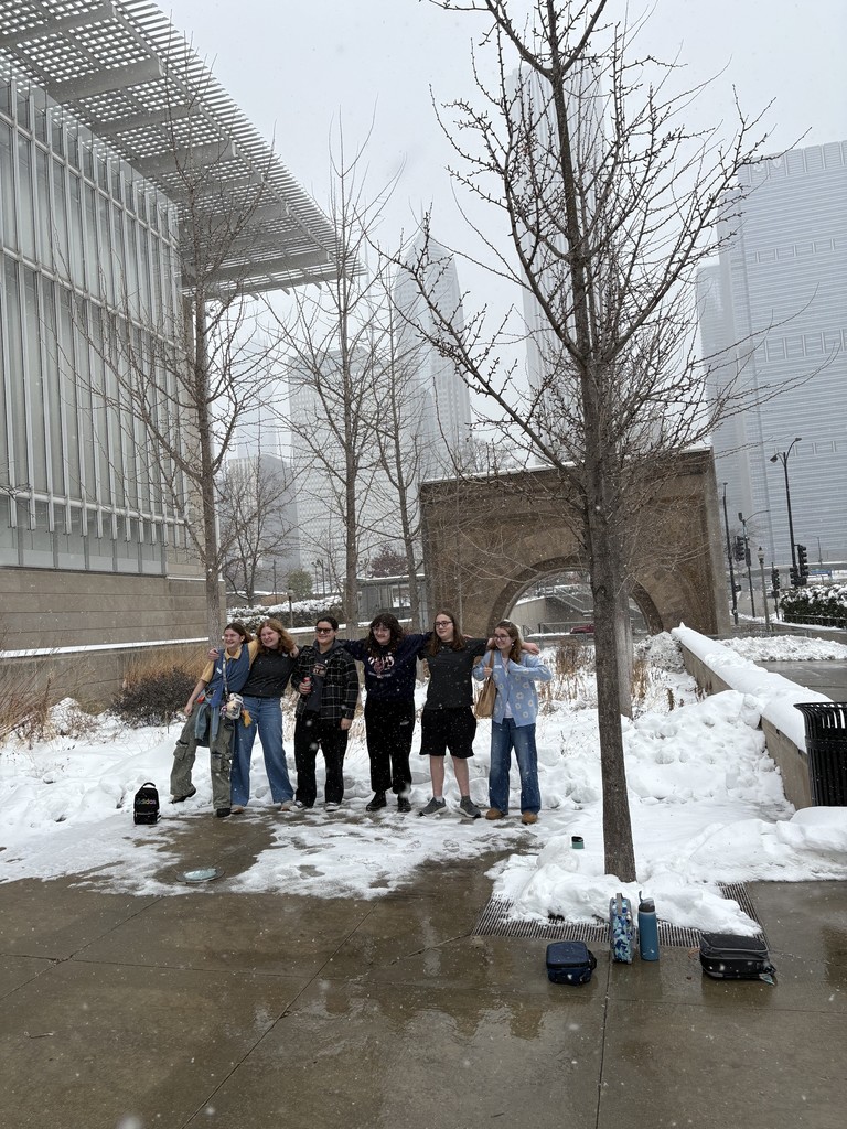 Art Institute of Chicago field trip