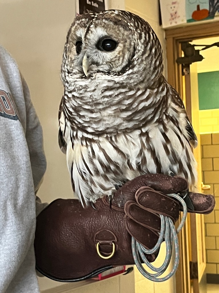 Miller Park Zoo at Oakland