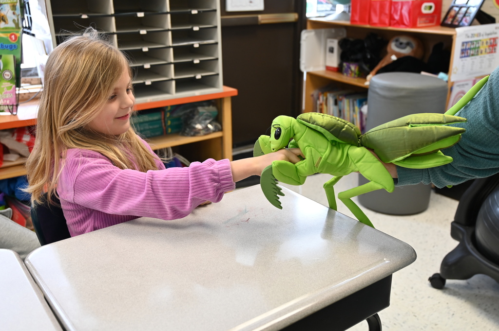 praying mantis in 2M