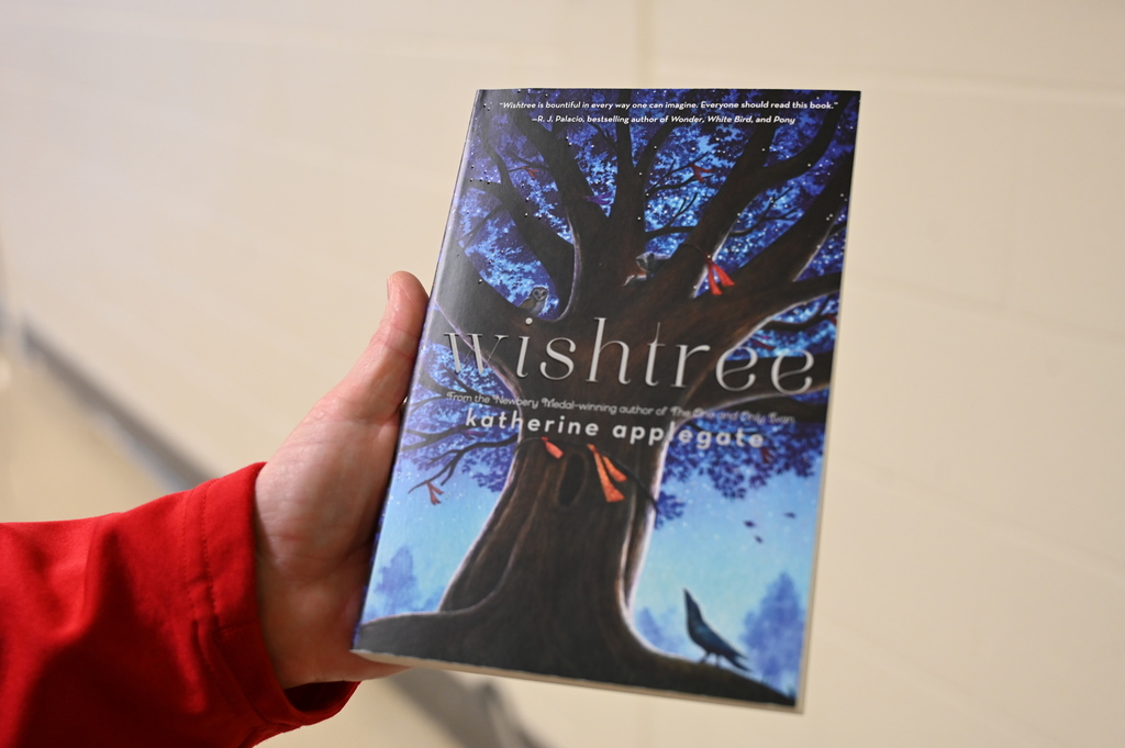 Wish Tree at Stevenson