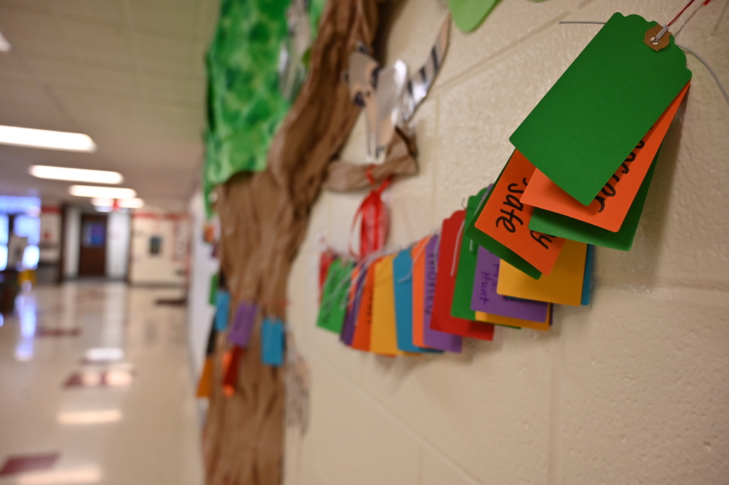 Wish Tree at Stevenson