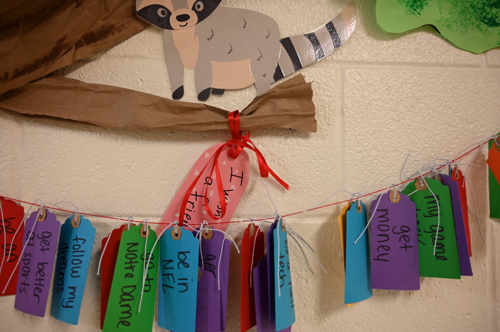 Wish Tree at Stevenson