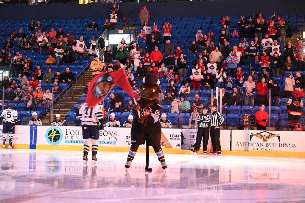 Bloomington Bison Game