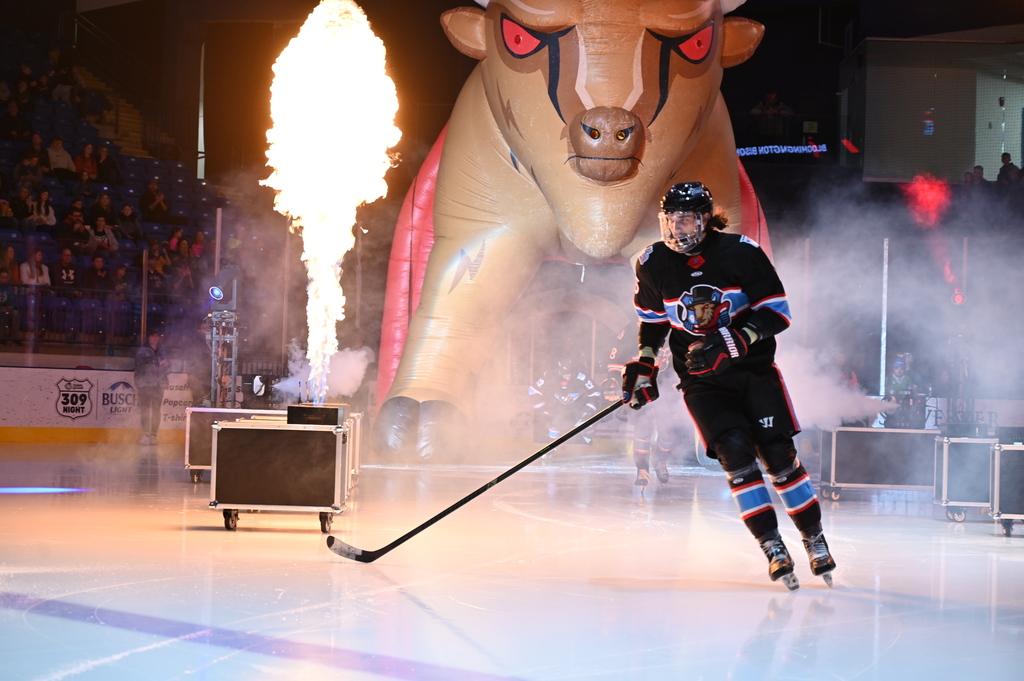 Bloomington Bison Game