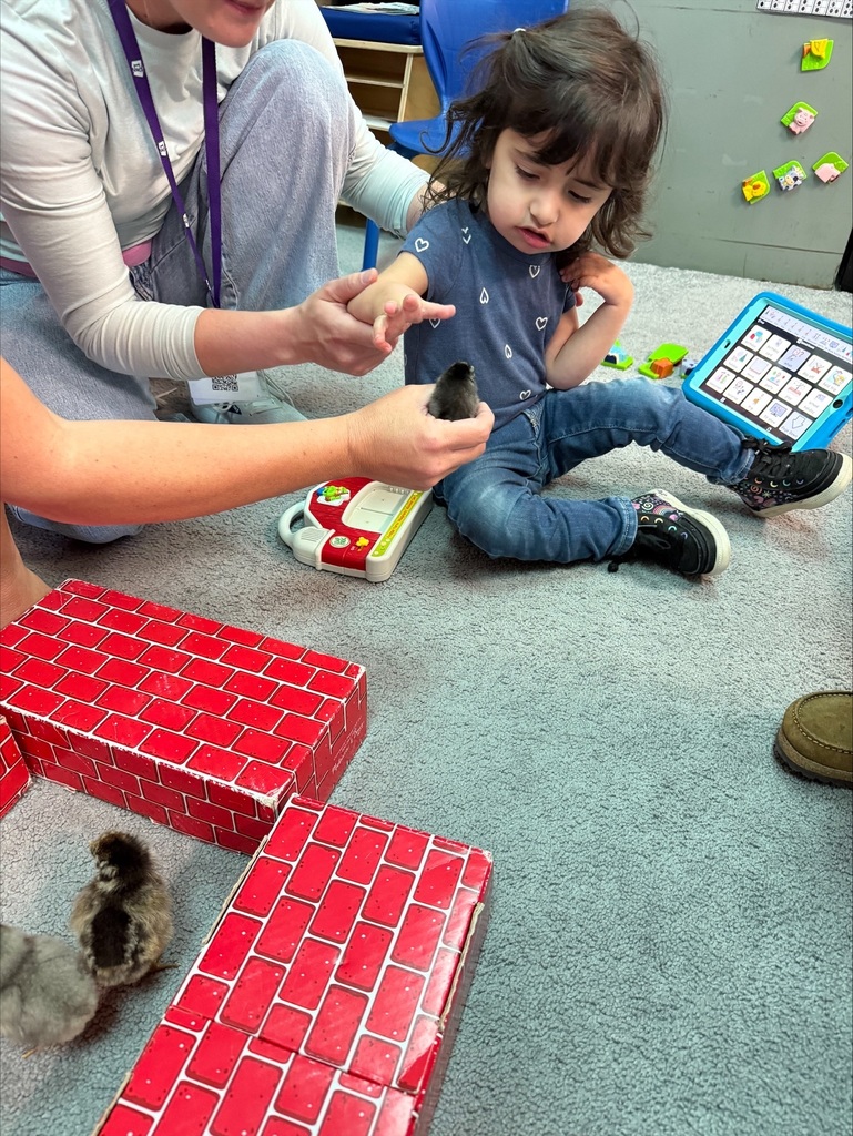 Chicks at Sarah Raymond