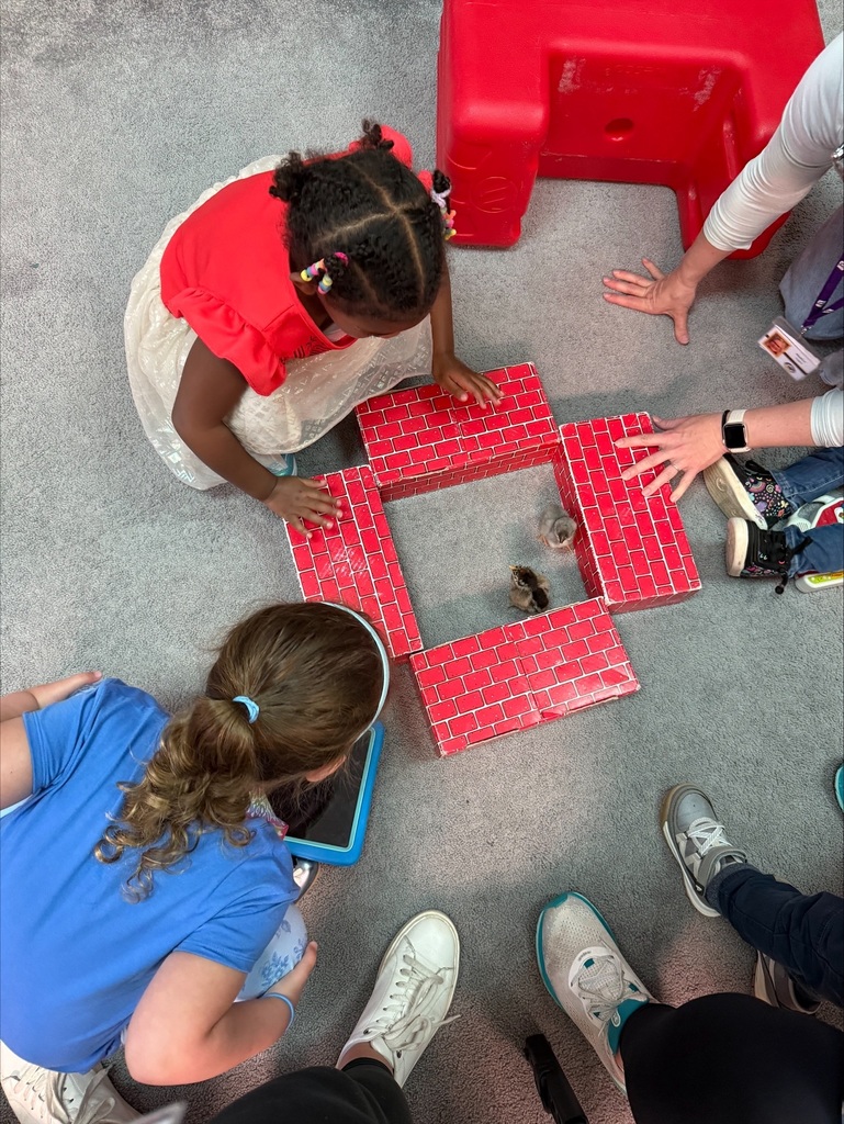 Chicks at Sarah Raymond