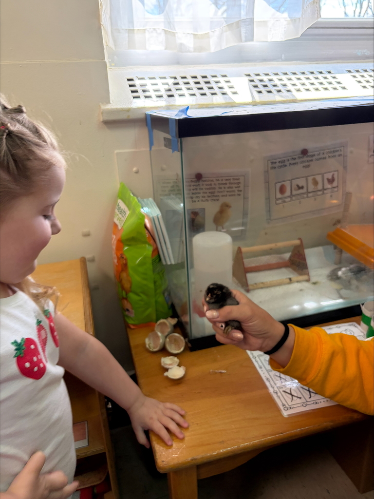 Chicks at Sarah Raymond