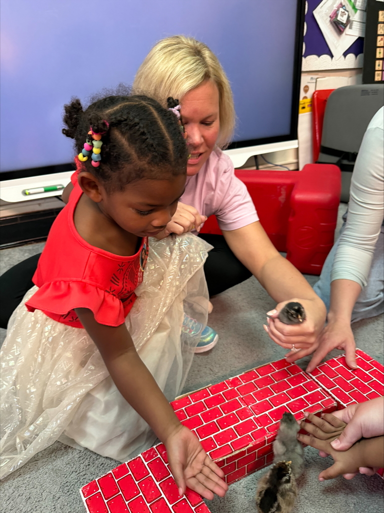 Chicks at Sarah Raymond