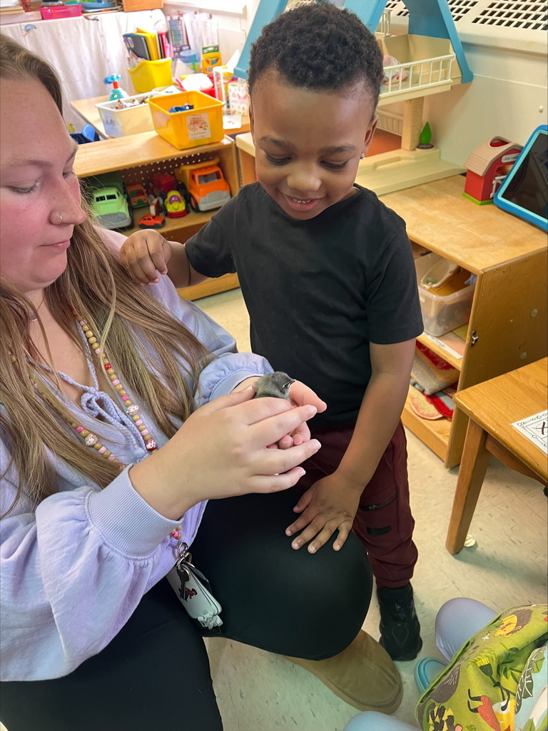 Chicks at Sarah Raymond