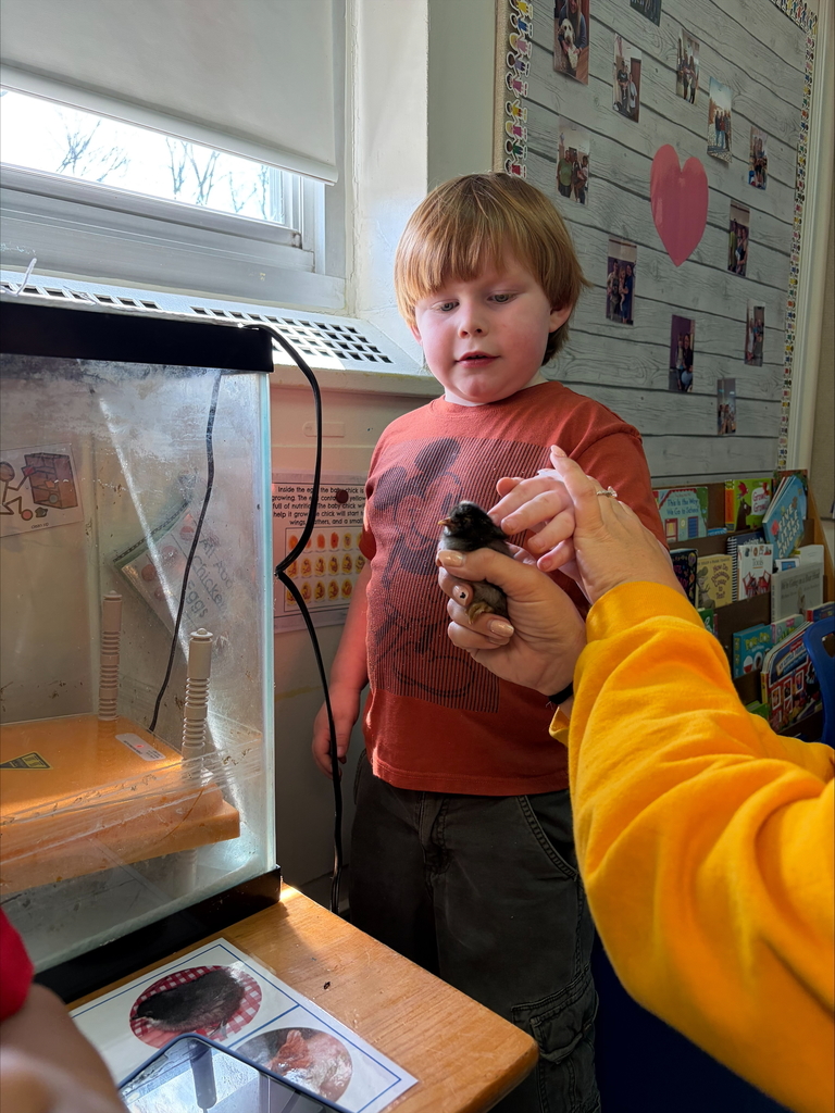 Chicks at Sarah Raymond