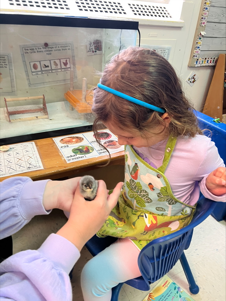 Chicks at Sarah Raymond