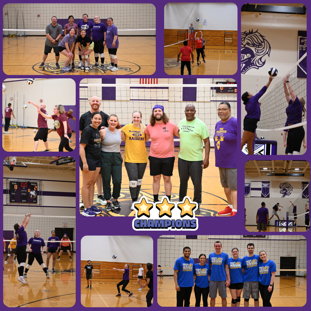 D87 staff volleyball tournament collage