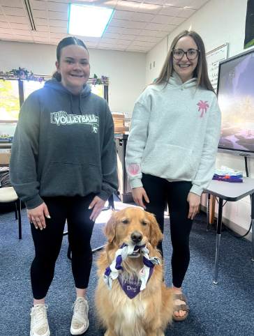 Student council pet toy initiative