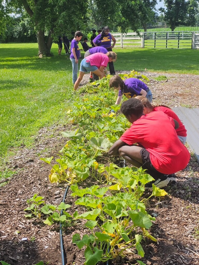 Roots Farm