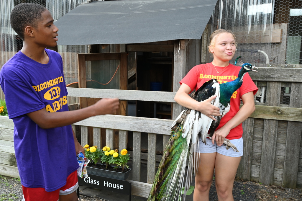 Roots Farm