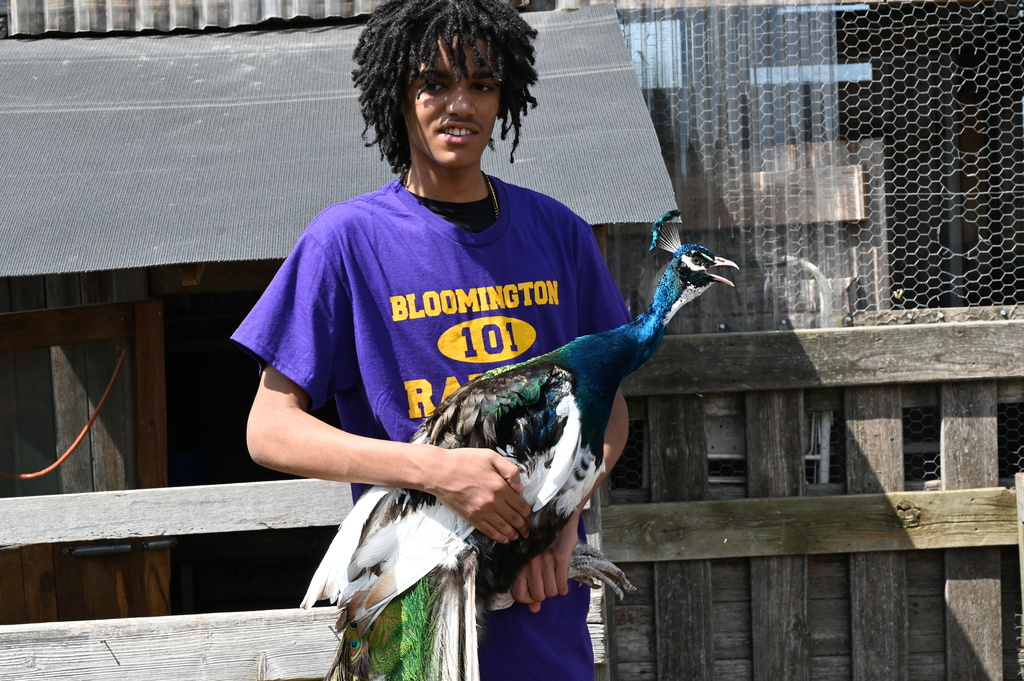 Roots Farm
