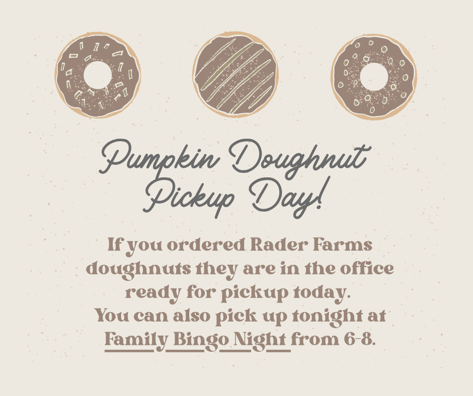 Doughnut