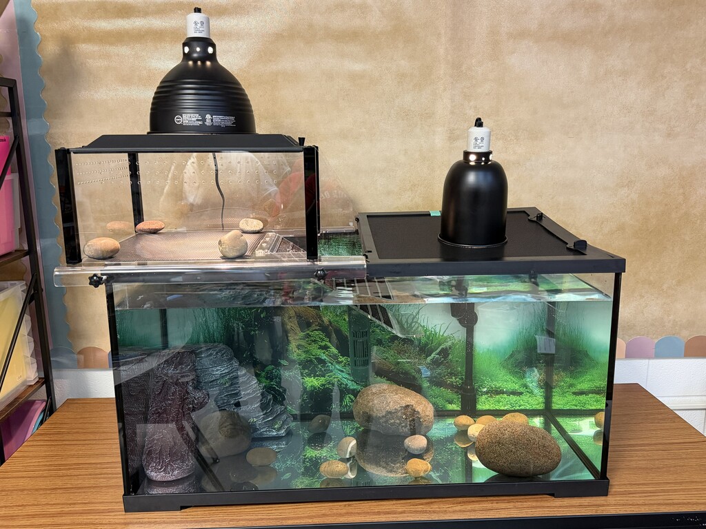 Fred's home 