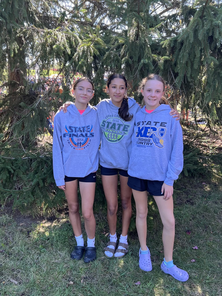 BJHS cross Country state finals
