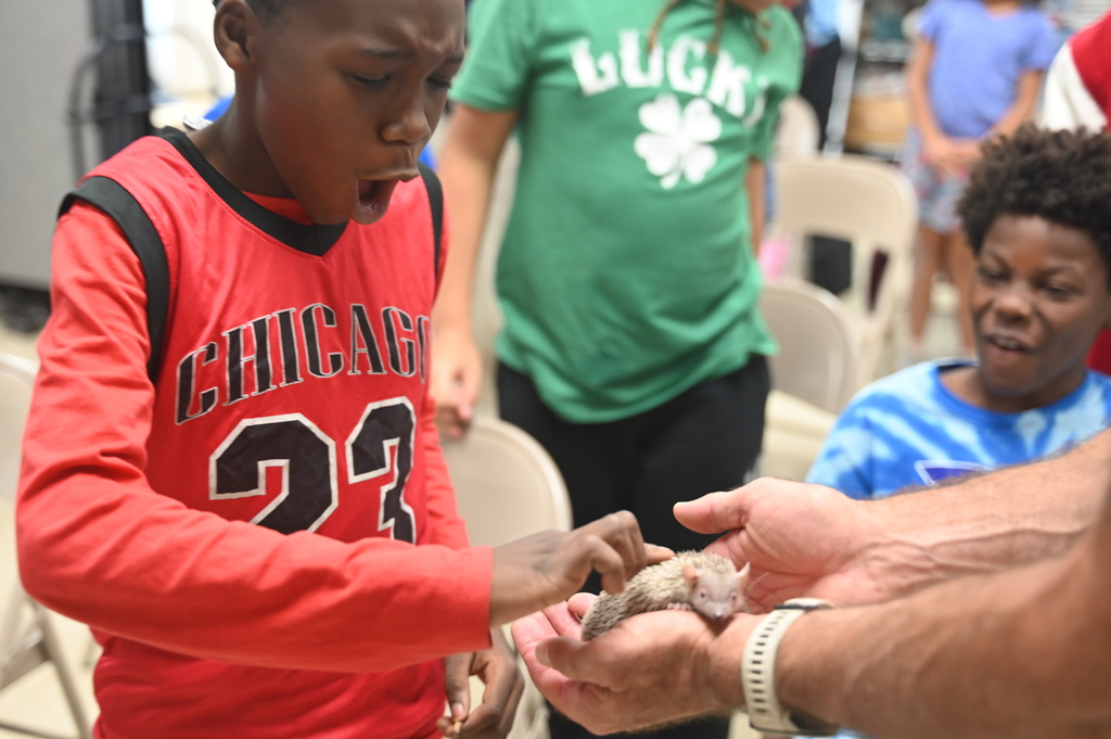A boy in red holding a small animal while a person holds it out. Behind him, others watch.
