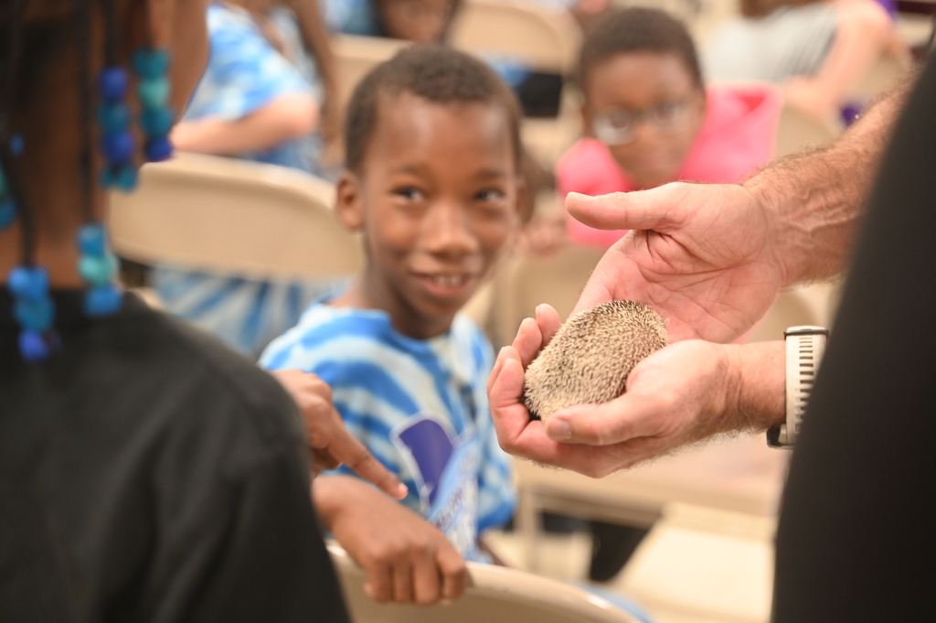 Hands holding a small animal